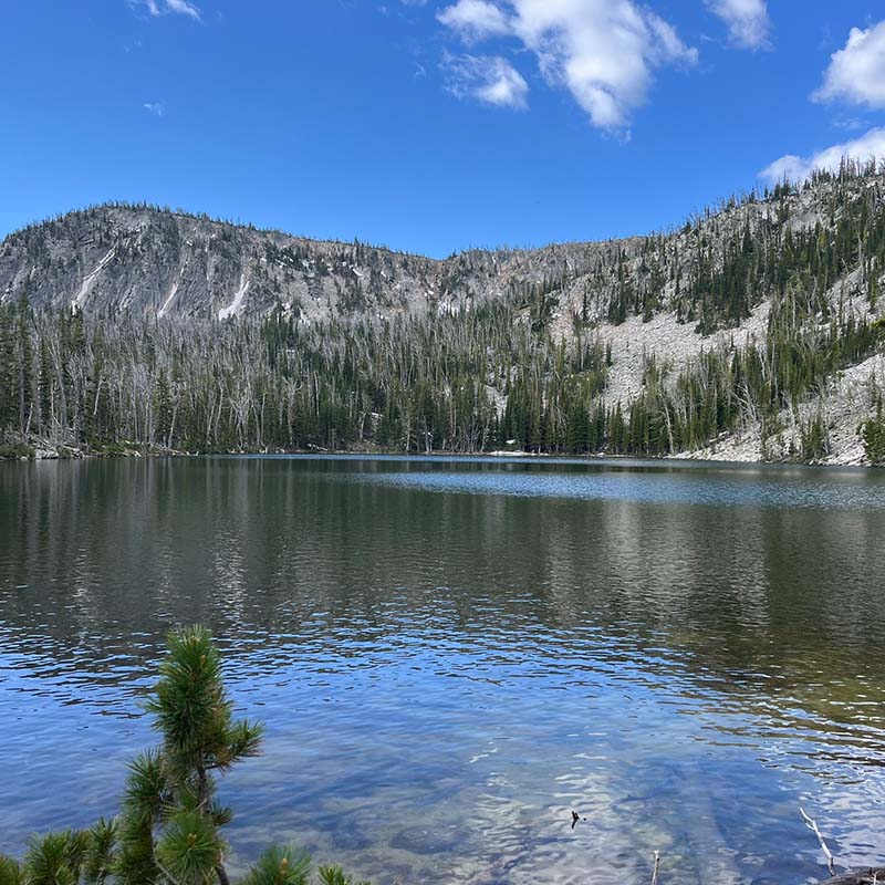 Big Belt Photo Gallery Montana Expeditions 1