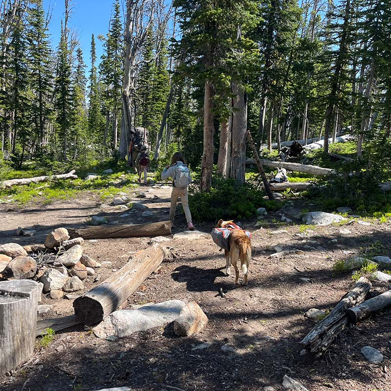 Big Belt Photo Gallery Montana Expeditions 5