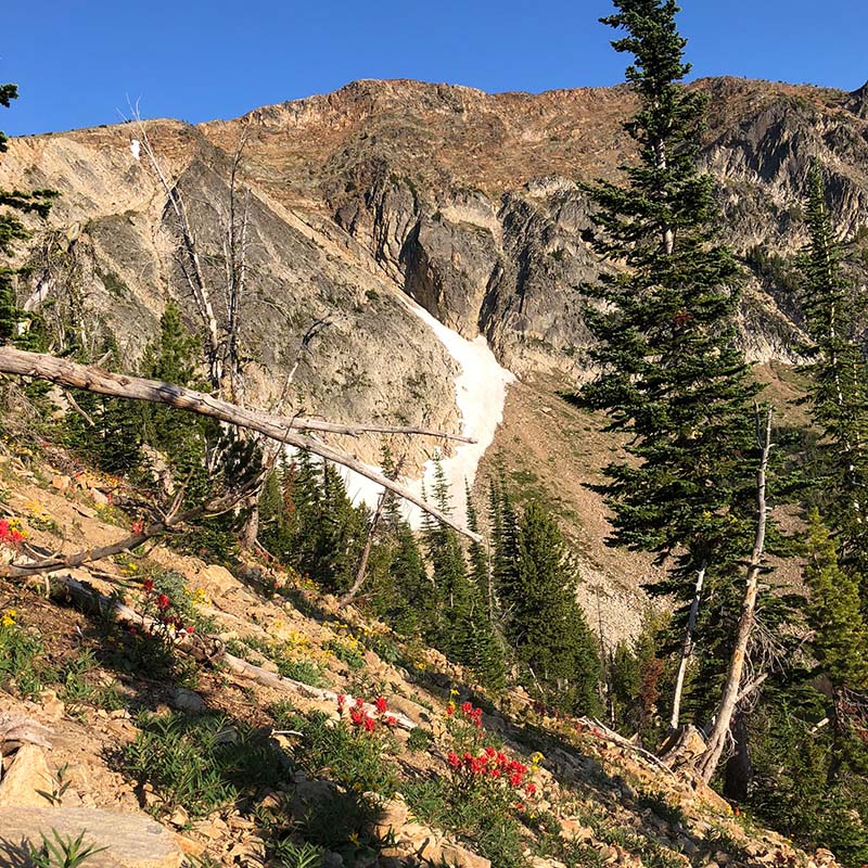 Crazy Mountains Photo Gallery 1